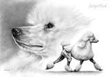 by Kerli Toode