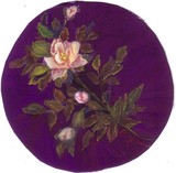 by Regina Taormino