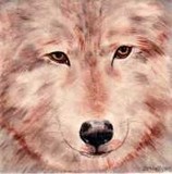 by Dy Witt