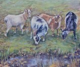 by Joan  Wulff