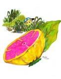 by Gladys Villalobos