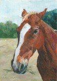 by Kathy Schoeppner