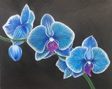 by DULCIE DEE