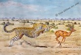 by True African Art .com