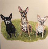 by Robbie 