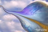 by Sara Deutsch