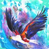 by Shirley Charlton