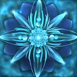 by elizabeth zaikowski
