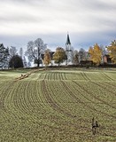 by JAN OLE SÆLØEN