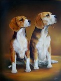by Debbie PIke