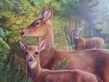 by Marcia Wilson