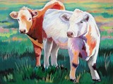 by shirley galbrecht