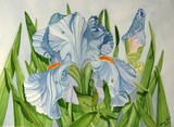 by Karen Park