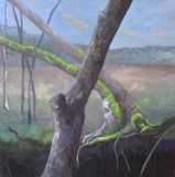 by Terri Jordan