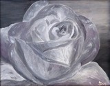 by Amalia Suruceanu