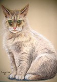 by Margaret Oringderff