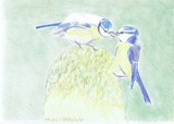by Claudia Luethi alias Abdelghafar