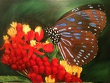 by Judy Petett