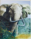 by john tukey
