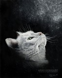 by Jeanne D'Art