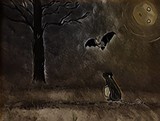 by Tammy Tinch