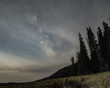 by David Beckemeier