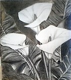 by Carlos Olvera