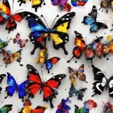 by Mihaela B