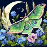 by Terrell Smith-Dorfeo
