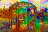 by Nira Dabush