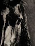 by Dawn Louise Russell Bigford