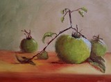 by Julieanne Hall