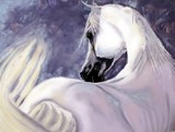 by Katherine Taylor-Green