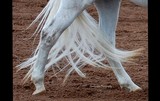 by CowGirlZen Artworks