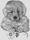 by Debbie Gray
