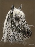 by Jennifer Redstreake