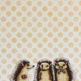 by Lucia Stewart