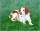 by Sherry Melberg