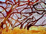 by debbie braswell