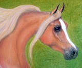 by sandy lippitt