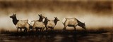 by Heather Ward