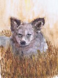 by Marilyn Barton