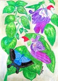by Aunita Tyler