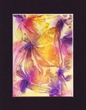 by amira el-fohail