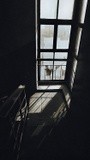 by Nikolay Semyonov