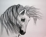 by Crystal  S