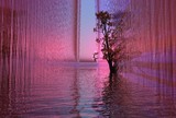 by Rob G
