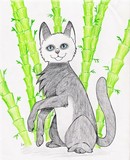 by Kayla Totos