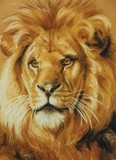 by Barbara Keith