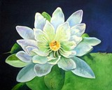 by Narender Mehta
